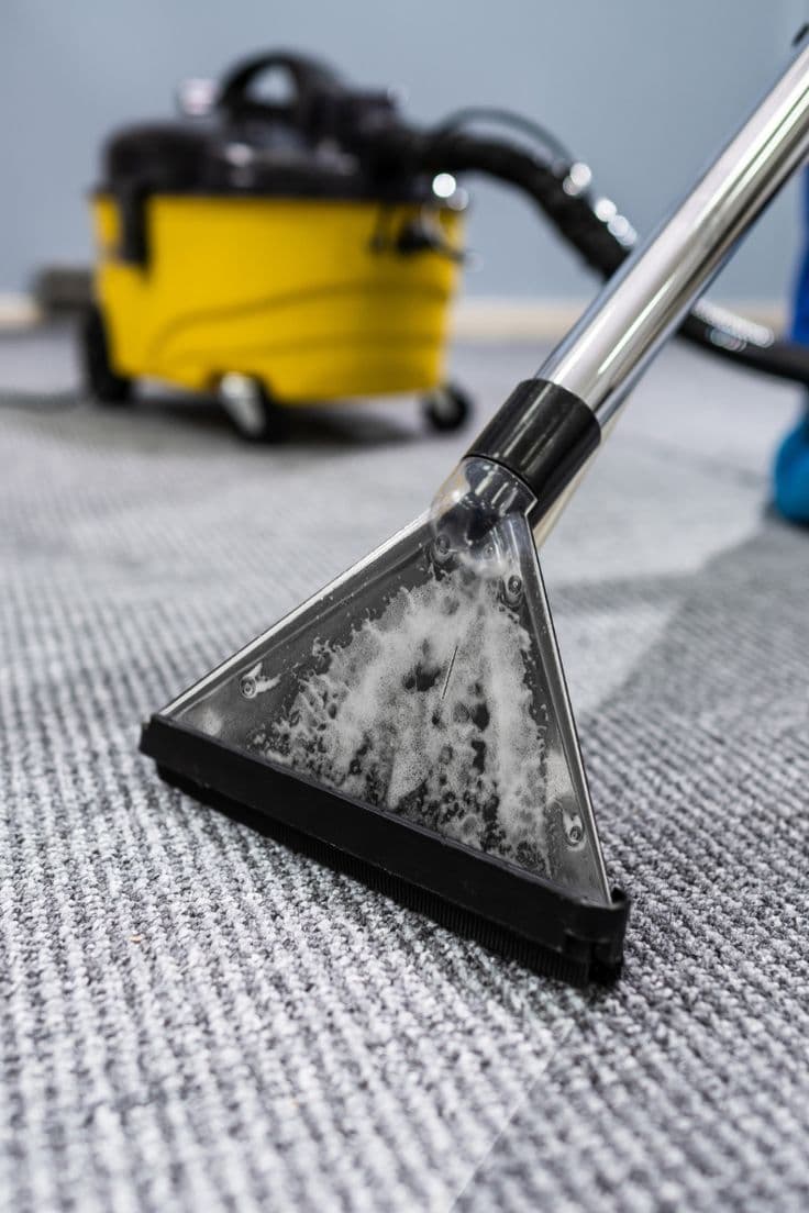 Professional carpet cleaning